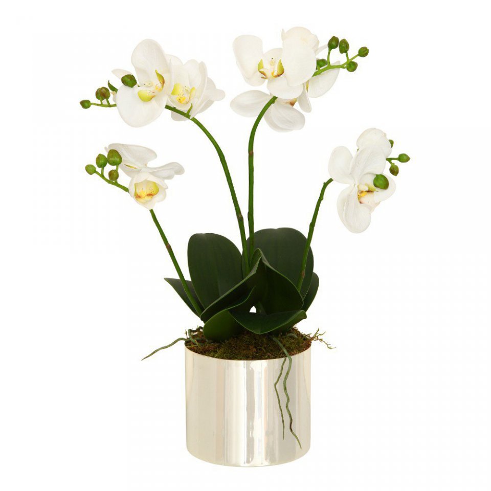 Background Cleaning Flowerpot